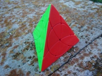 Petal Pyraminx.