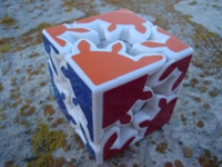 2x2 Gear Cube.