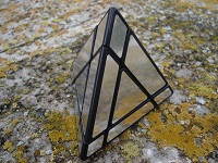 Mirror Pyraminx.